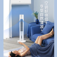 志高(CHIGO)1空調扇與格力(GREE)KS-06X71Dg空調扇深度對比評測 誰才是你的夏日性價比之王？